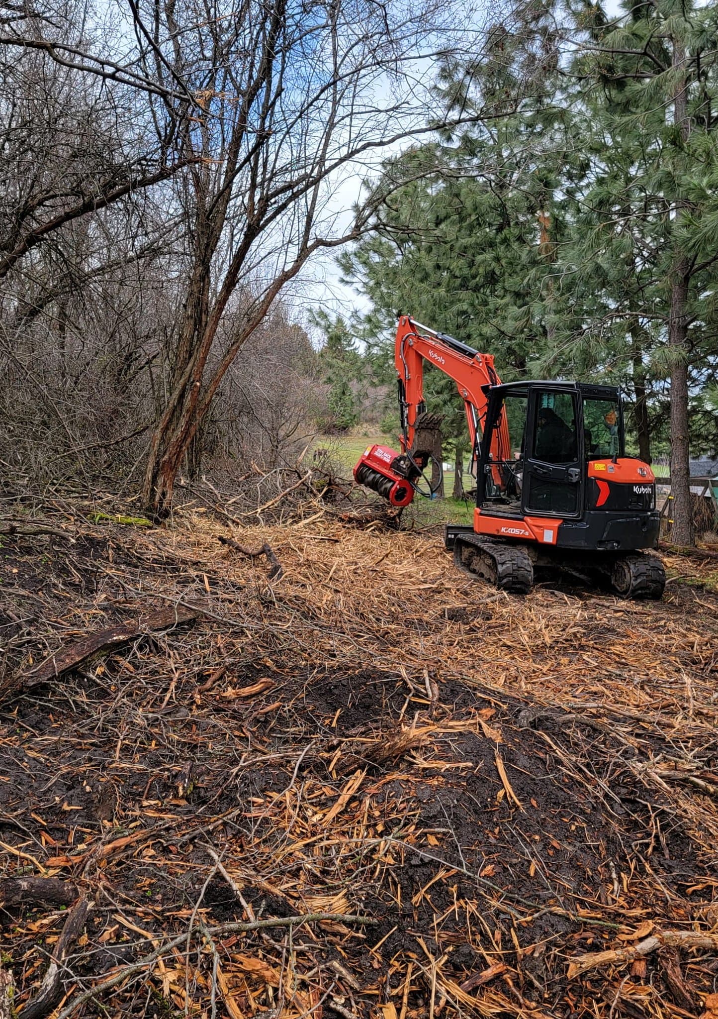 Clearing out heavy brush