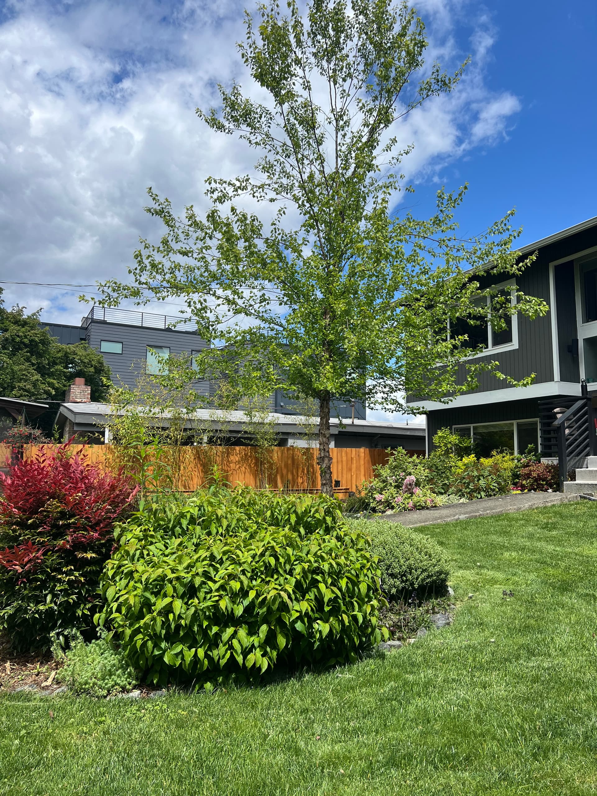 Modern Garden
