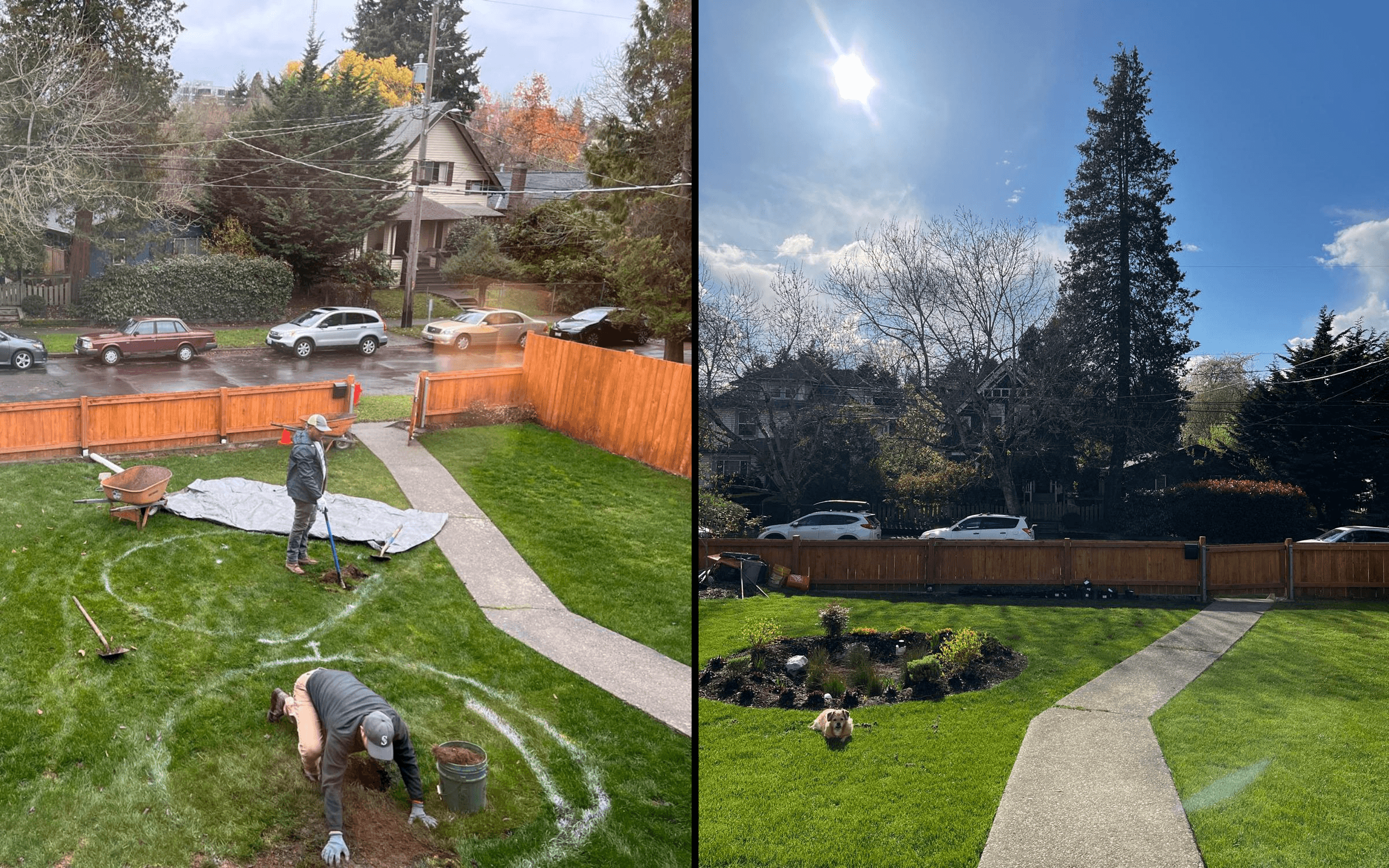 Seattle Home Frontyard Landscaping - Example Project 2